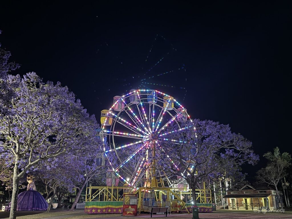 Ferris wheel at night at Market Square in Grafton