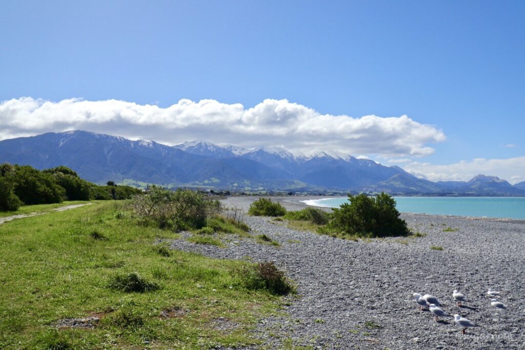 Kaikōura in South Island New Zealand