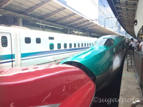 北海道新幹線, 東京駅, Shinkansen, Tokyo Station, Bullet Train
