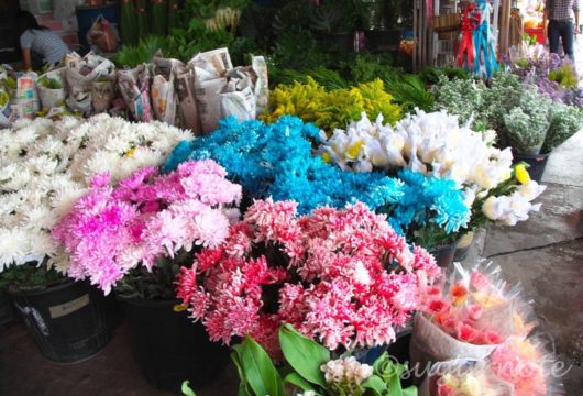 Surrounded area of Warorot Market in Chiang Mai, ワローロット市場周辺, 生花市場, Flower Market