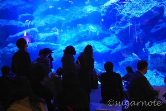 すみだ水族館, Sumida Aquarium, 東京大水槽, Tokyo Tank
