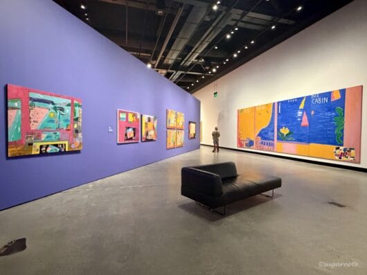 Ken Done No Rules Exhibition at HOTA