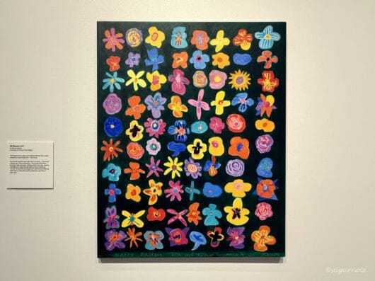 Ken Done No Rules Exhibition at HOTA