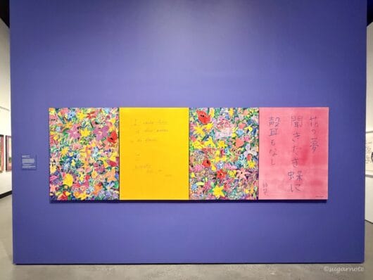 Ken Done No Rules Exhibition at HOTA